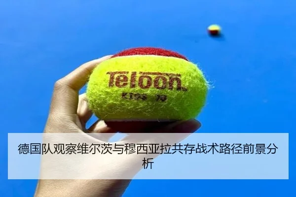 德国队观察维尔茨与穆西亚拉共存战术路径前景分析